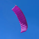 Pro-Team 8ft Purple Stacker Power Kite