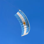 Stacker 6ft Argentina Flag Power Kite
