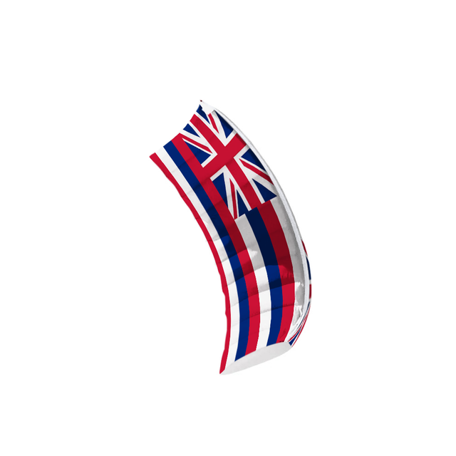 Stacker 6ft Hawaii Flag Power Kite