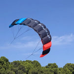 Big Buzz Power Kite
